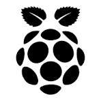 Raspberry Pi